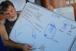 west_papua_raja_ampat_mare-mundi_hofrichter_meeresbiologie_exkursion-_projektwoche_schule_meer_mitttelmeer_mediterran_adria_krk