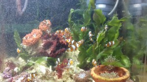 22549028_2029304227080027_6425459671747264801_o